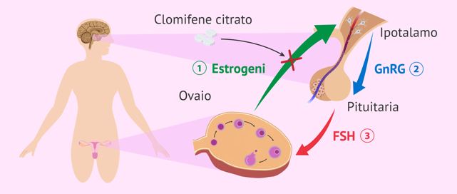 Clomifene farmacia online